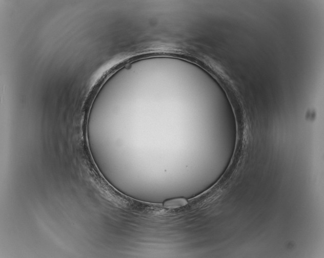 X0000110931222200907021515