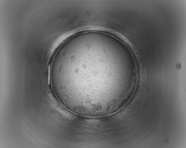 X0000110931223200907021515