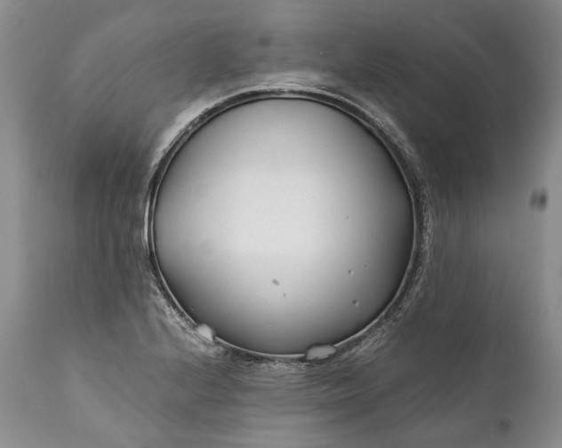 X0000110931224200907021515