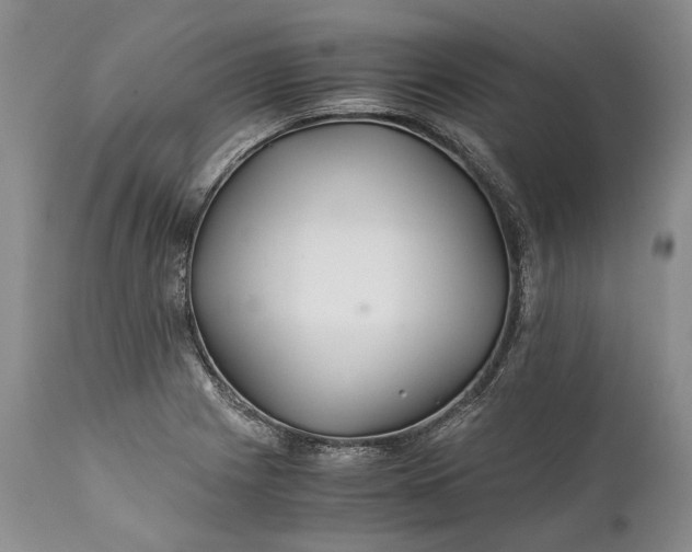 X0000110931225200907021515