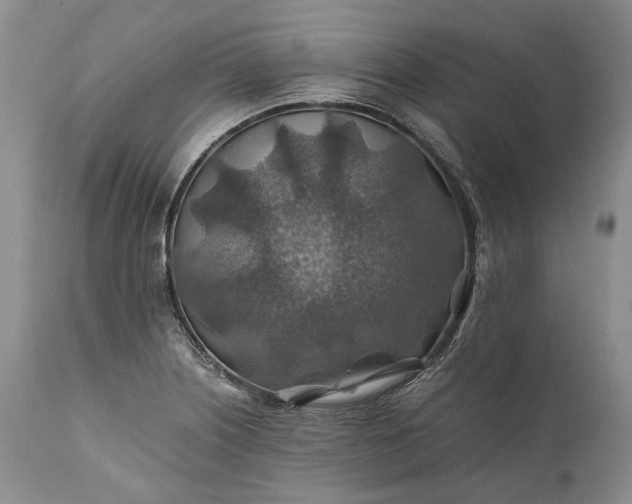 X0000110931226200907021515
