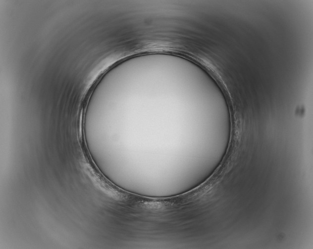 X0000110931227200907021515