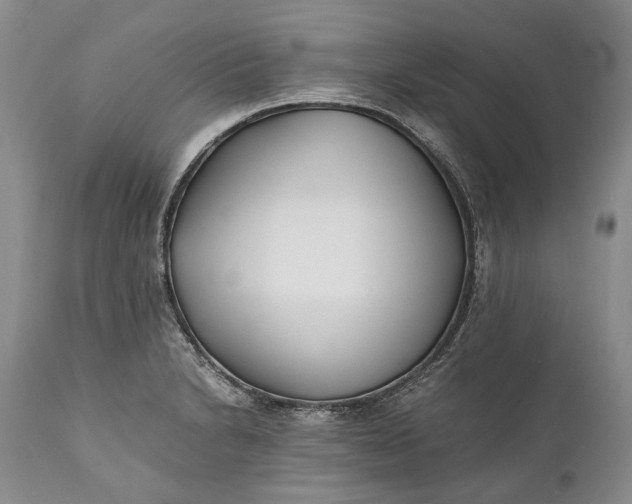 X0000110931230200907021515