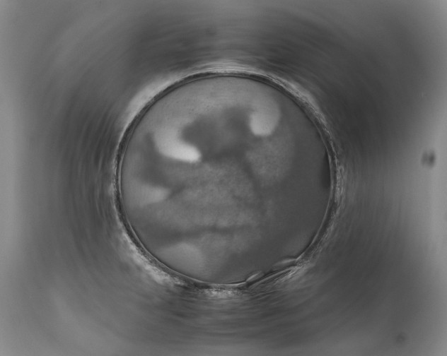 X0000110931231200907021515