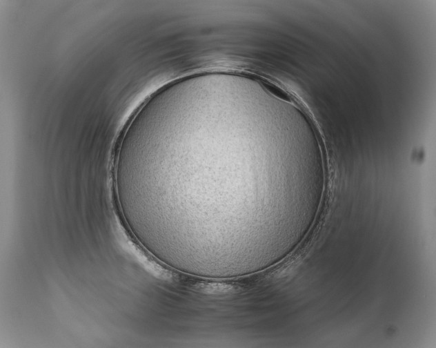 X0000110931235200907021515