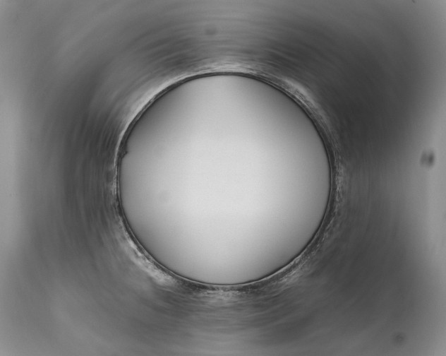 X0000110931236200907021515