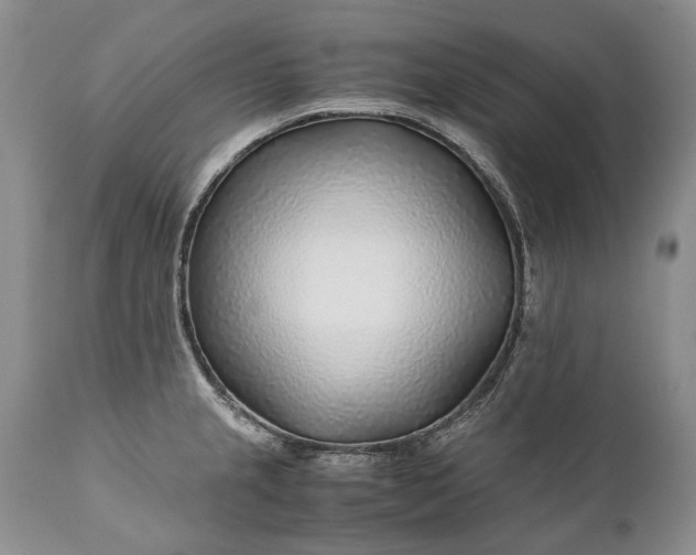 X0000110931237200907021515