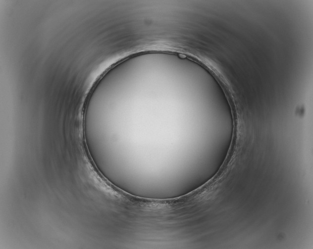 X0000110931238200907021515