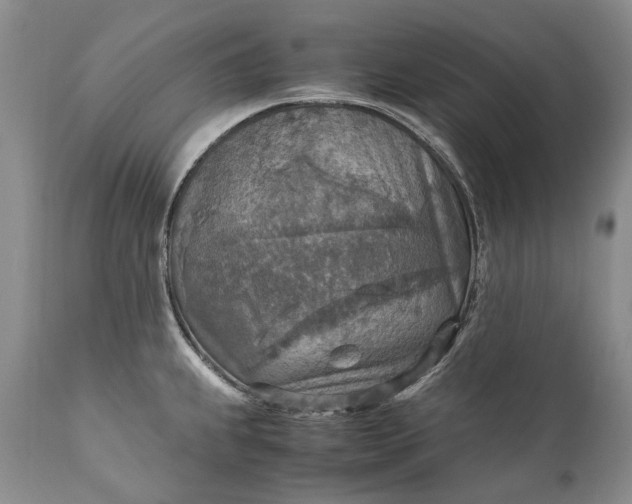 X0000110931239200907021515