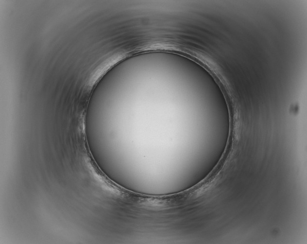 X0000110931241200907021515