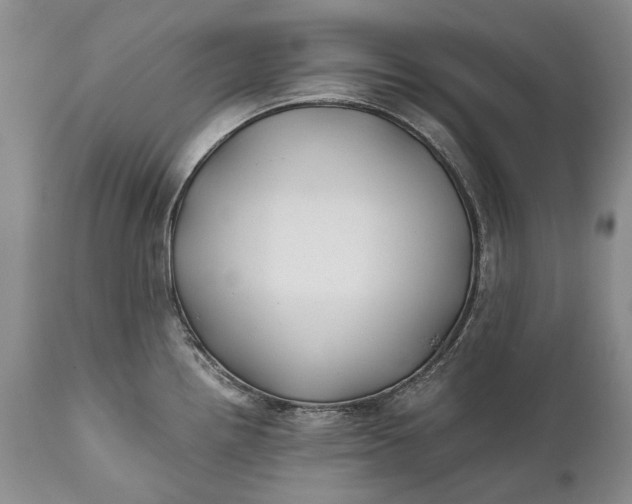 X0000110931242200907021515