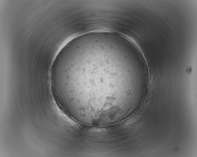 X0000110931243200907021515
