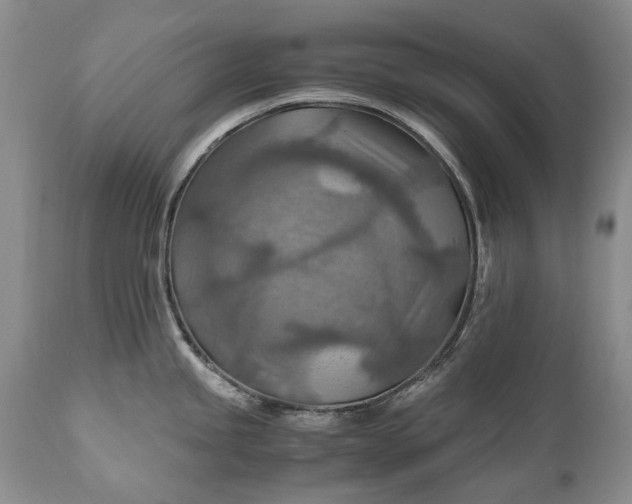X0000110931245200907021515