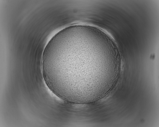 X0000110931247200907021515