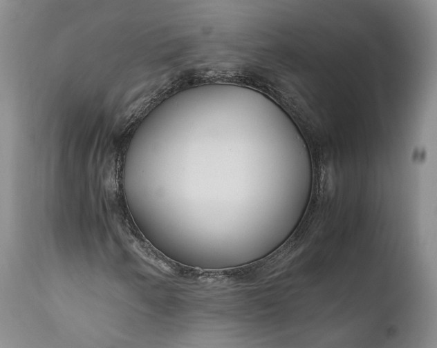 X0000110931250200907021515