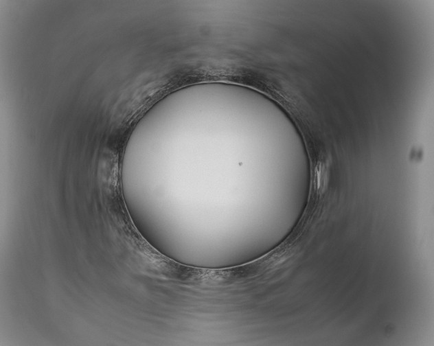 X0000110931251200907021515