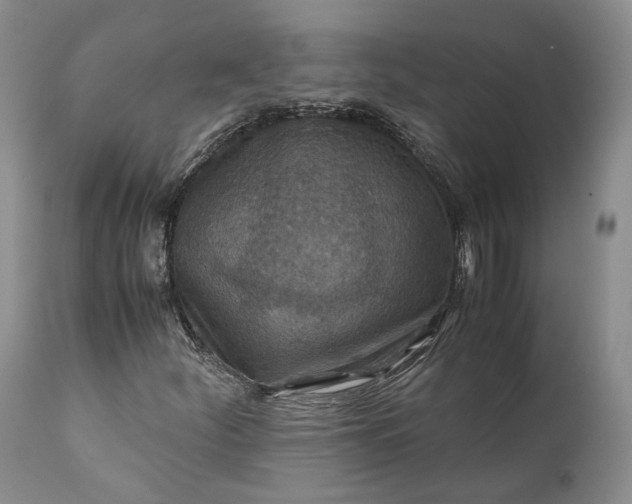 X0000110931252200907021515