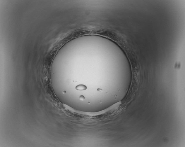 X0000110931253200907021515