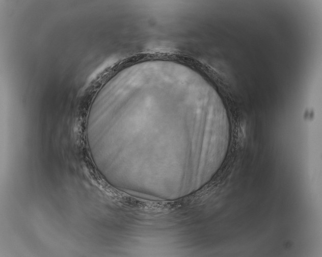 X0000110931254200907021515