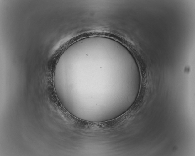 X0000110931255200907021515