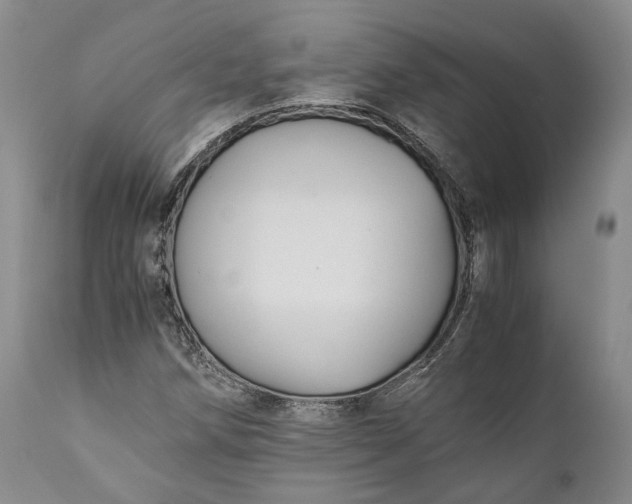 X0000110931258200907021514