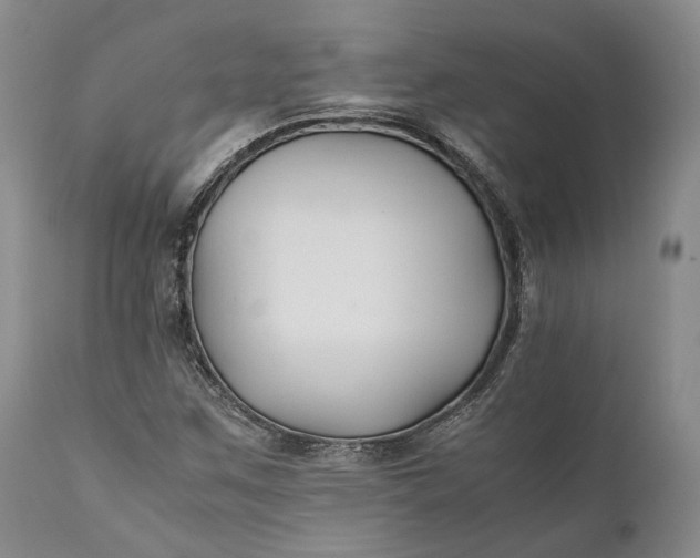 X0000110931259200907021514