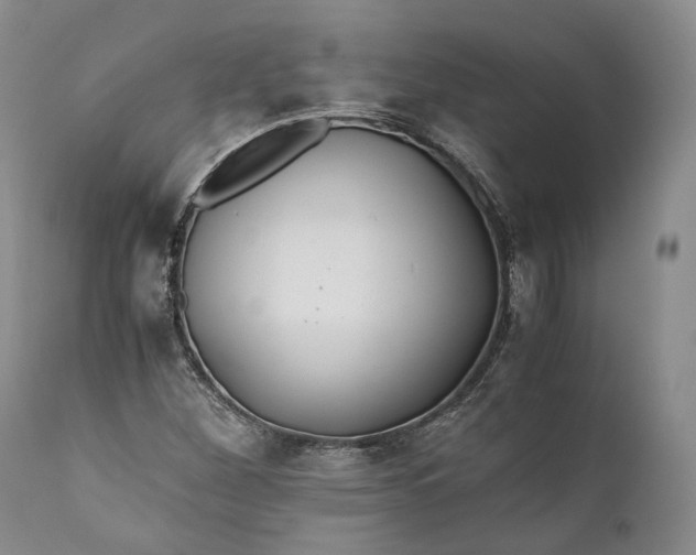 X0000110931260200907021514