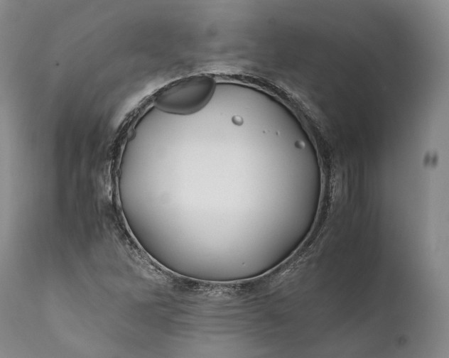 X0000110931262200907021514