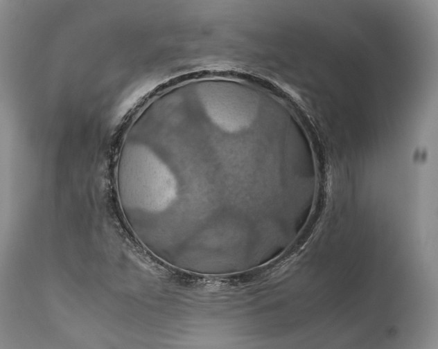 X0000110931263200907021514