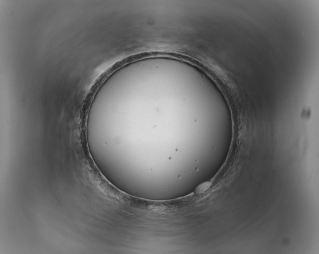 X0000110931264200907021514