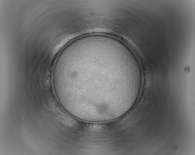 X0000110931266200907021514
