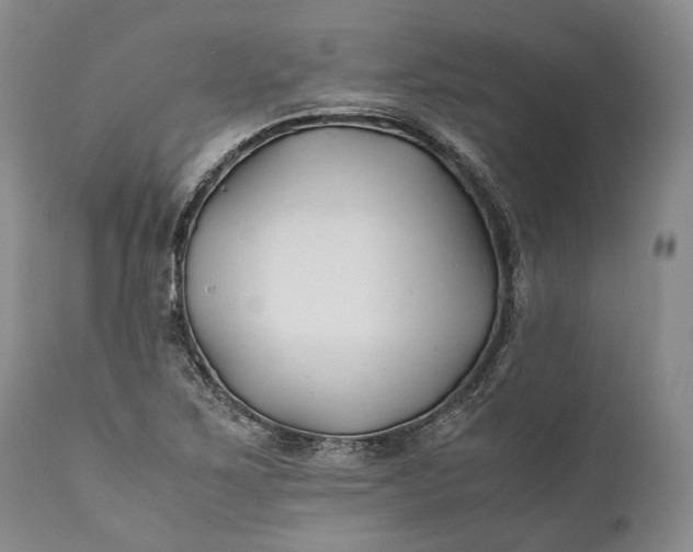 X0000110931267200907021514