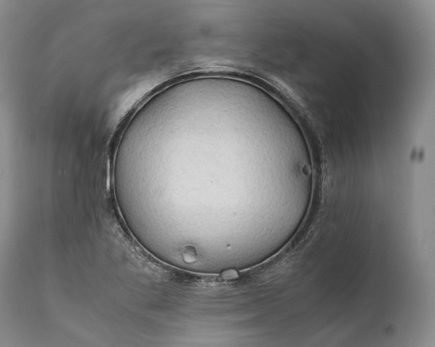 X0000110931269200907021514