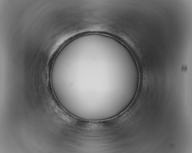 X0000110931270200907021514