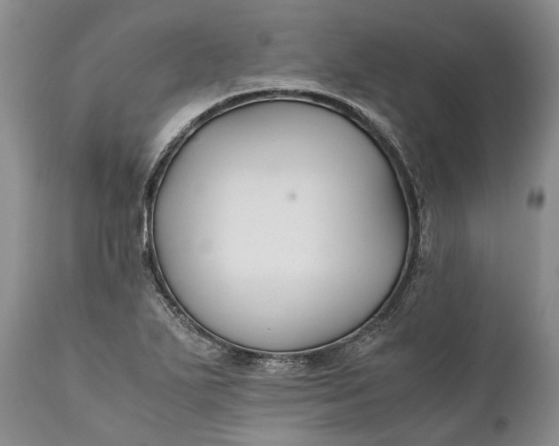 X0000110931271200907021514