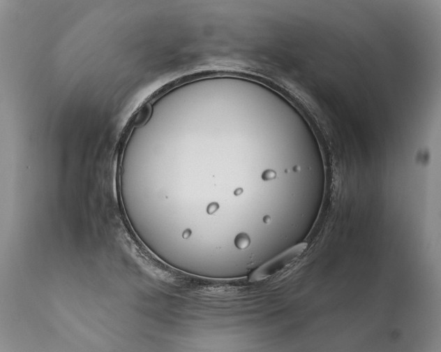 X0000110931272200907021514