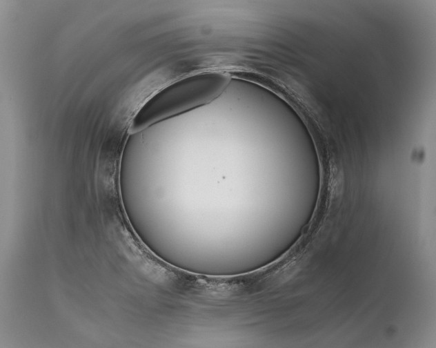 X0000110931273200907021514