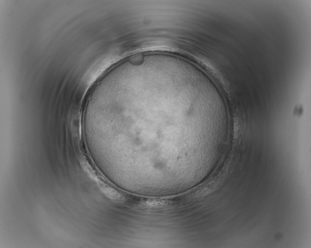 X0000110931274200907021514