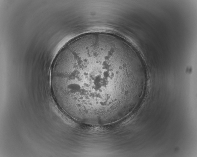 X0000110931275200907021514