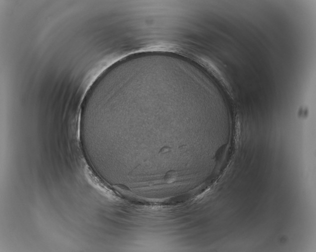 X0000110931276200907021514