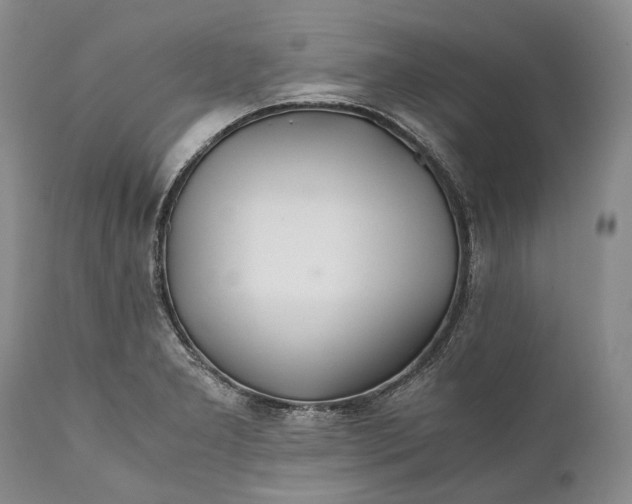 X0000110931277200907021514