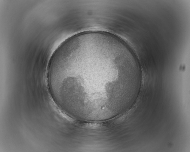 X0000110931278200907021514