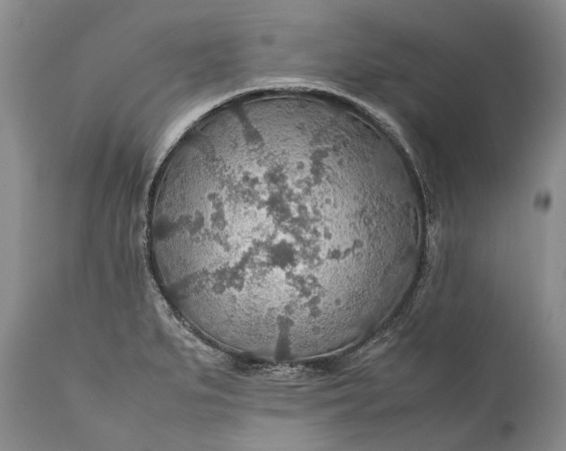 X0000110931279200907021514