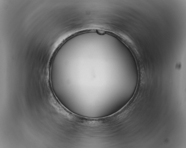X0000110931280200907021514