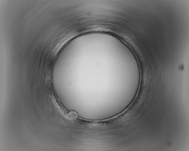 X0000110931281200907021514