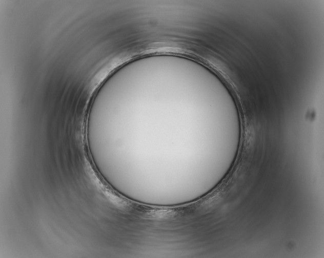 X0000110931282200907021514