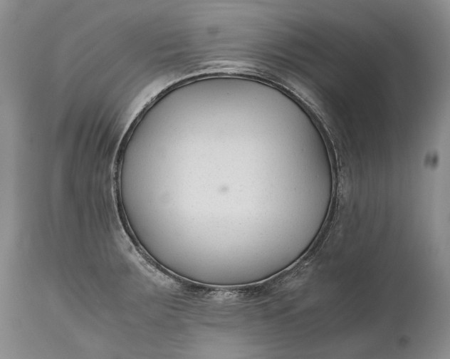 X0000110931283200907021514