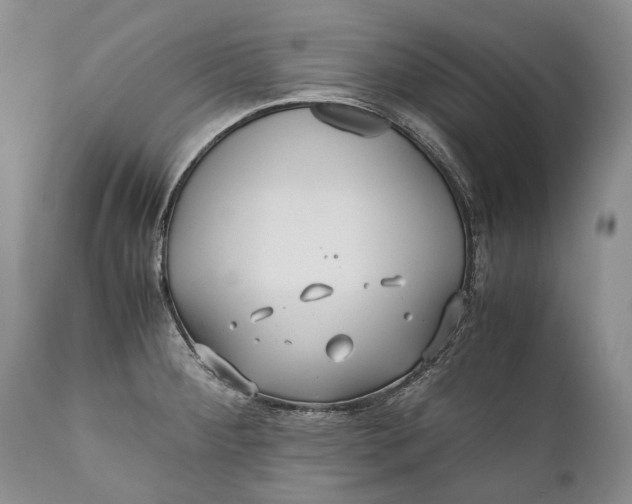 X0000110931284200907021514