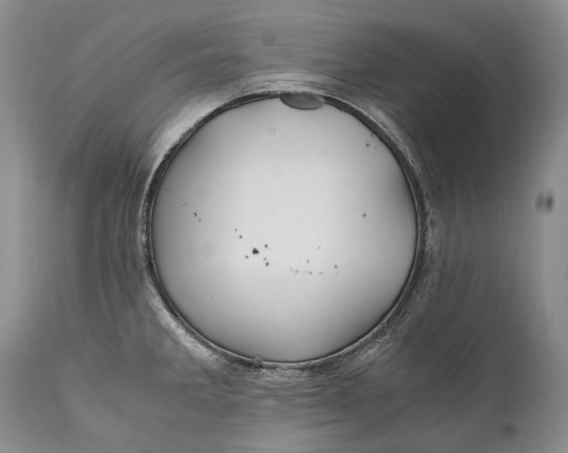 X0000110931285200907021514