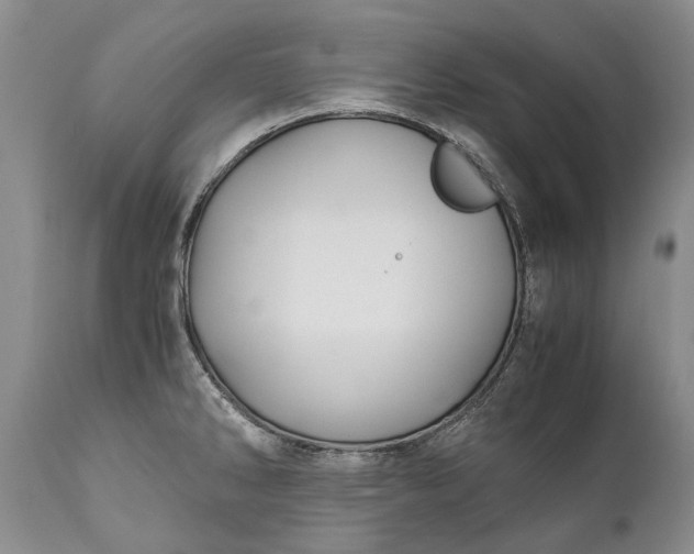 X0000110931286200907021514